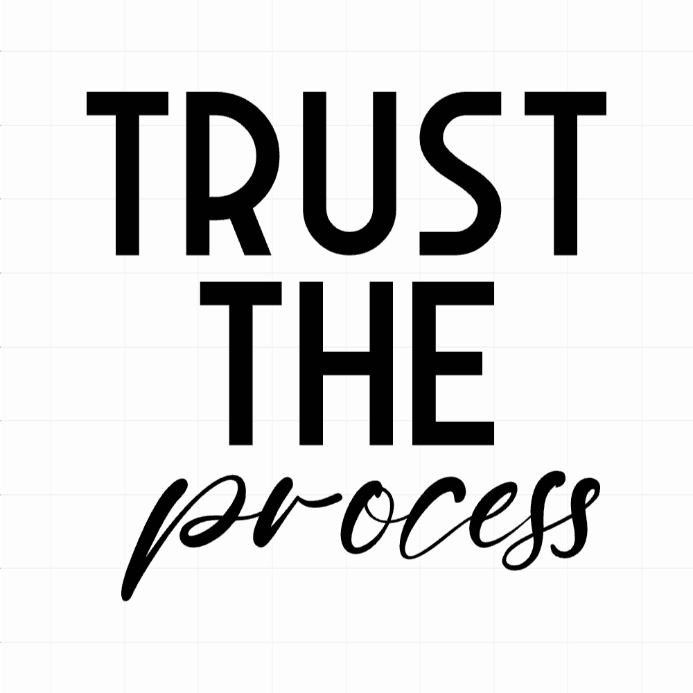 Trust the process - Motivatie sticker - vinyl sticker kopen bij De Stickerbaas
